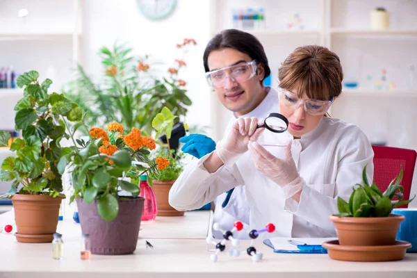 Dos jóvenes botánicos trabajando en el laboratorio — Foto de Stock