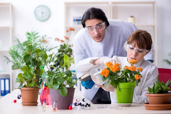 Dos jóvenes botánicos trabajando en el laboratorio —  Fotos de Stock