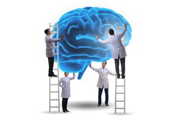 Bir grup doktor insan beynini inceliyor.