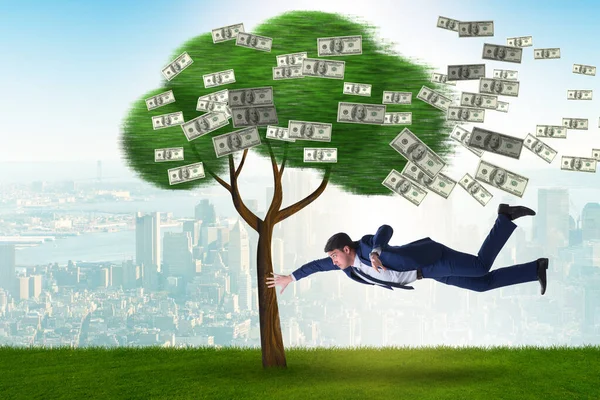 Biznesmen zdmuchnięty z drzewa pieniędzy — Zdjęcie stockowe