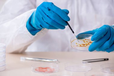 Laboratuvarda çalışan genç bir kimyager.