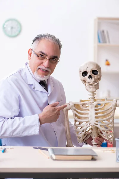 İskeleti olan yaşlı erkek doktor. — Stok fotoğraf