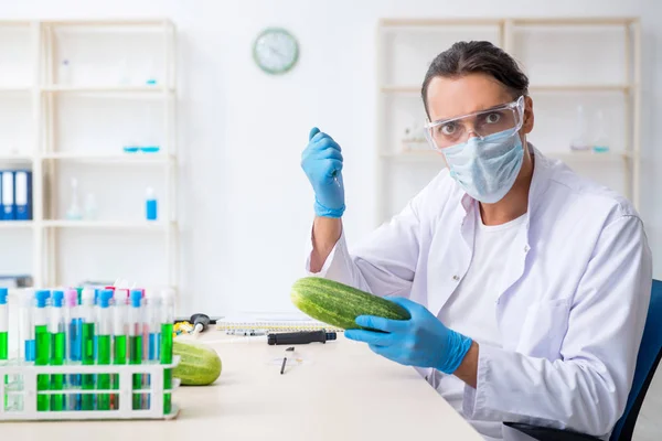Mannelijke voeding expert testen van groenten in het lab — Stockfoto