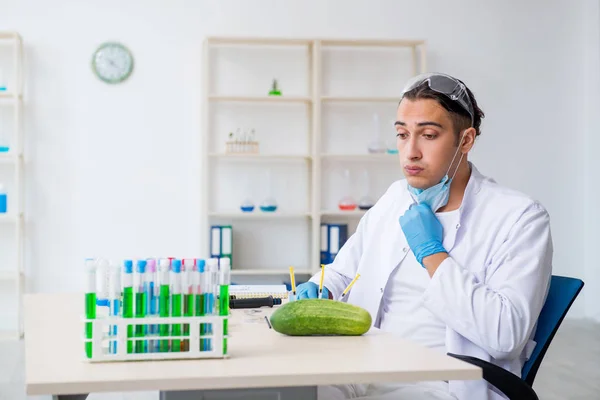 Mannelijke voeding expert testen van groenten in het lab — Stockfoto