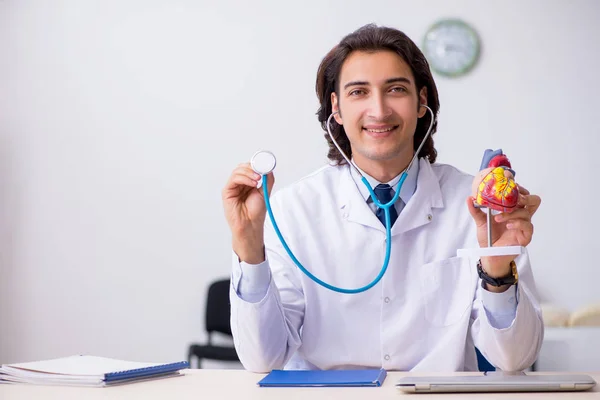 Young doctor cardiologist with heart model — Stock Photo, Image