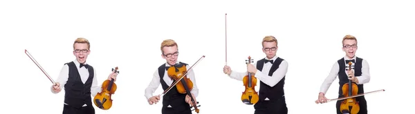 Divertente violinista su bianco — Foto Stock