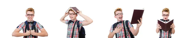 Student mit Rucksack isoliert auf dem weißen — Stockfoto