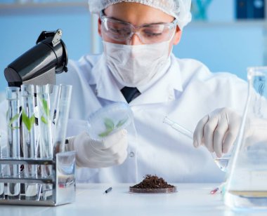 Erkek bilim adamı bir laboratuarda deney yapıyor.