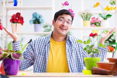 Bahçıvan çiçekçide çalışıyor. Çiçekçide çalışıyor.