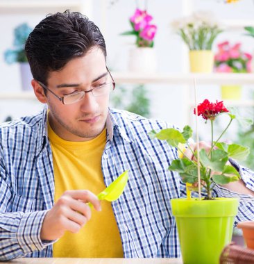 Bahçıvan çiçekçide çalışıyor. Çiçekçide çalışıyor.
