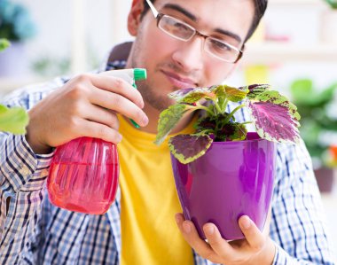 Bahçıvan çiçekçide çalışıyor. Çiçekçide çalışıyor.