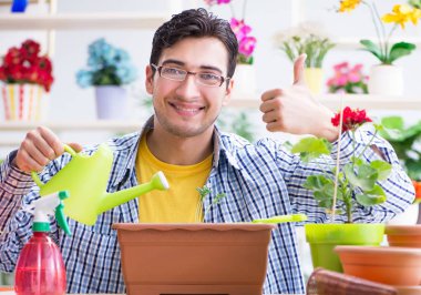 Bahçıvan çiçekçide çalışıyor. Çiçekçide çalışıyor.