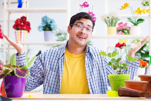 Bahçıvan çiçekçide çalışıyor. Çiçekçide çalışıyor.