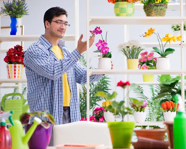 Kertész virágárus dolgozik egy virágüzlet, a házi növények — Stock Fotó