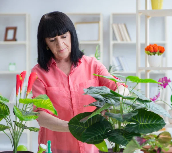 Жінка-флорист, що працює в квітковому магазині — стокове фото