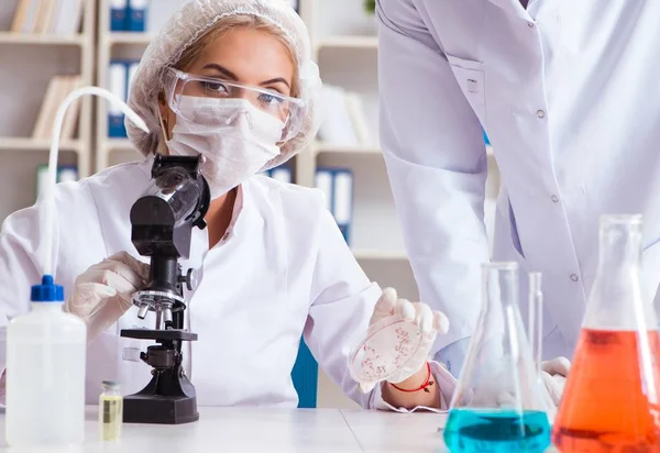 Mujer joven doctora en el laboratorio de la clínica del hospital —  Fotos de Stock