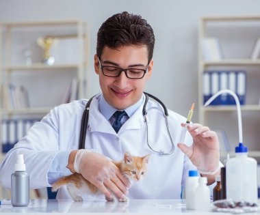 Kedi muayenesi için veteriner.