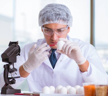 Besin uzmanı gıda ürünlerini laboratuarda test ediyor.