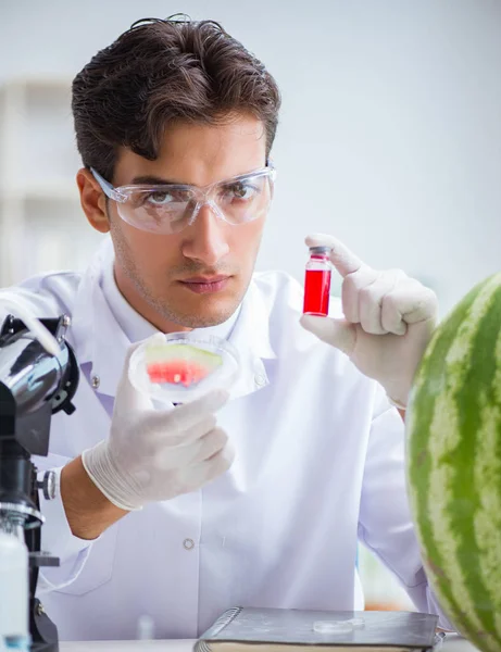 Naukowiec badający arbuza w laboratorium — Zdjęcie stockowe