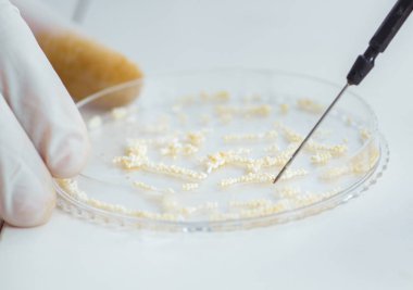 Bir laboratuarda deney yapan kadın bir bilim adamı.