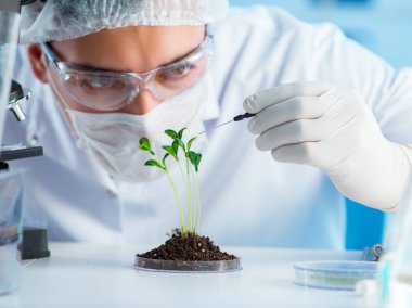 Laboratuvarda bilim adamıyla biyoteknoloji kavramı
