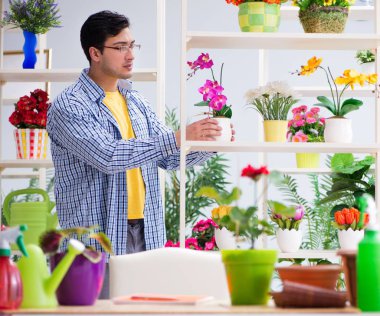 Bahçıvan çiçekçide çalışıyor. Çiçekçide çalışıyor.