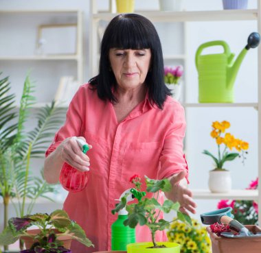 Çiçekçide çalışan kadın çiçekçi