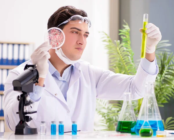 Male doctor working in the lab on virus vaccine — Stock Photo, Image
