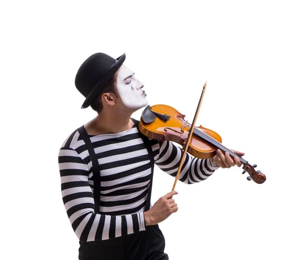Mimo tocando el violín aislado en blanco —  Fotos de Stock