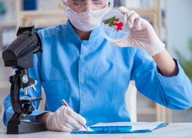 Bir laboratuarda deney yapan kadın bir bilim adamı.