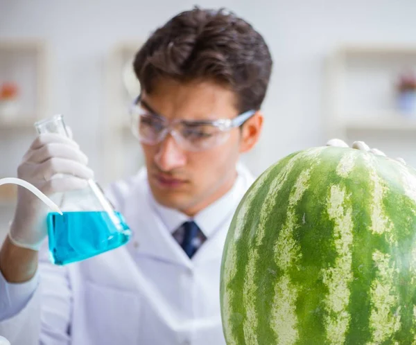 Científico probando sandía en laboratorio —  Fotos de Stock