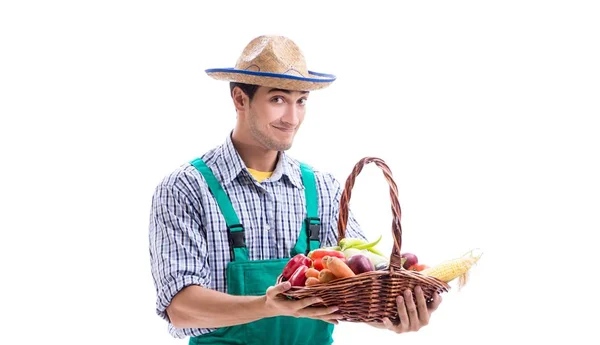 Young farmer isolated on the white background — Stock Photo, Image