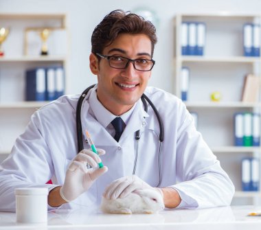 Hayvan hastanesinde tavşanı muayene eden veteriner.