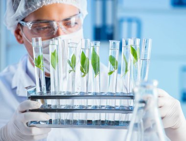 Laboratuvarda bilim adamıyla biyoteknoloji kavramı