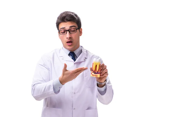 Jonge mannelijke arts stomatoloog geïsoleerd op wit — Stockfoto
