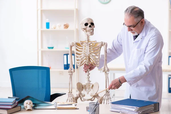 Пожилой врач со скелетом — стоковое фото