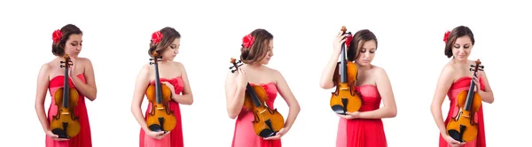 Young girl with violin on white — Stock Photo, Image