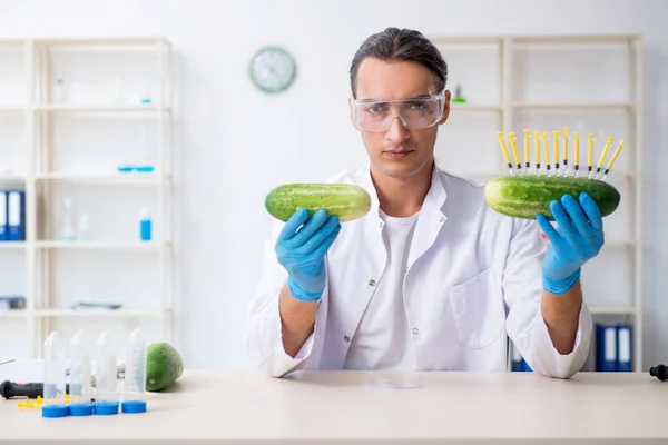 Mužská výživa expert testování zeleniny v laboratoři — Stock fotografie