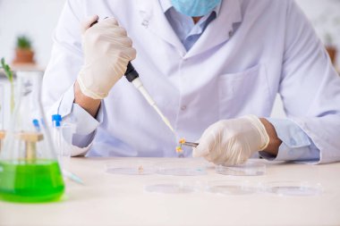 Laboratuvarda çalışan genç bir kimyager.