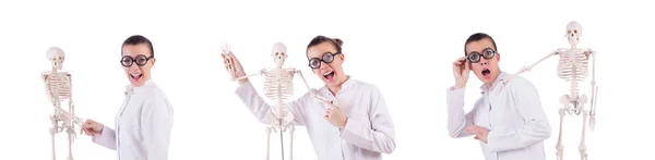 Doctor with skeleton on white — Stock Photo, Image