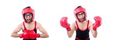 Beyaz arka planda izole edilmiş komik boksör