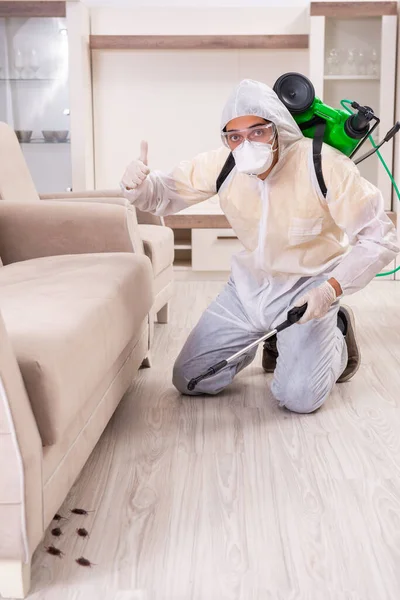 Pest control contractor working in the flat — Stock Photo, Image