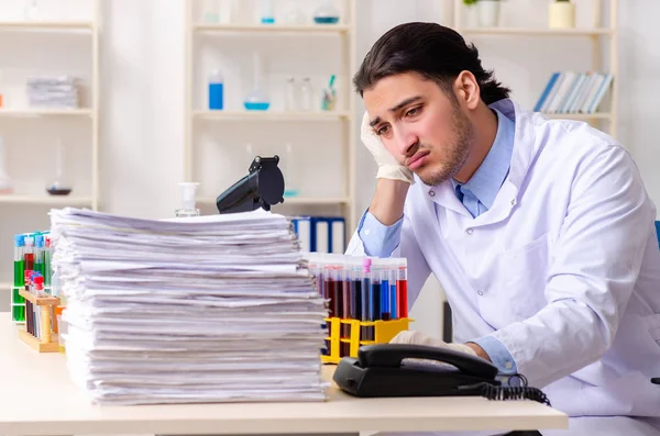 Joven químico masculino trabajando en el laboratorio — Foto de Stock