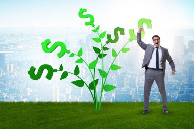 Para ağacı kavramı ve büyüyen karlar.