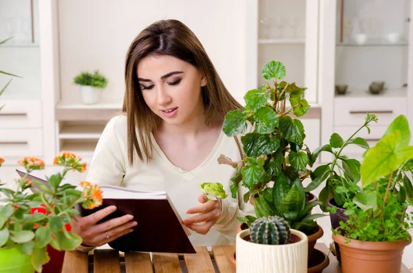 Joven jardinero femenino con plantas en el interior —  Fotos de Stock