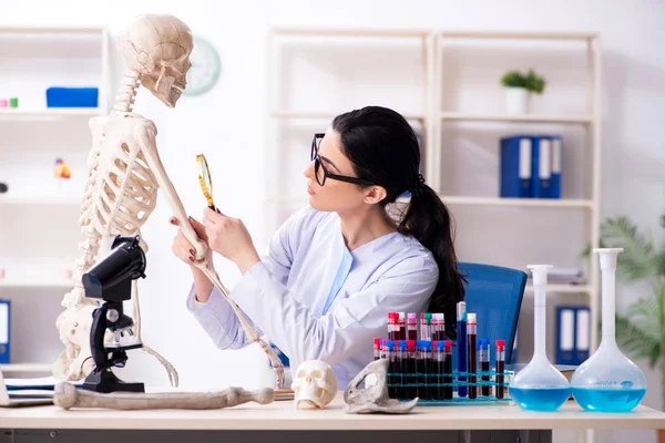 Joven arqueóloga que trabaja en el laboratorio — Foto de Stock