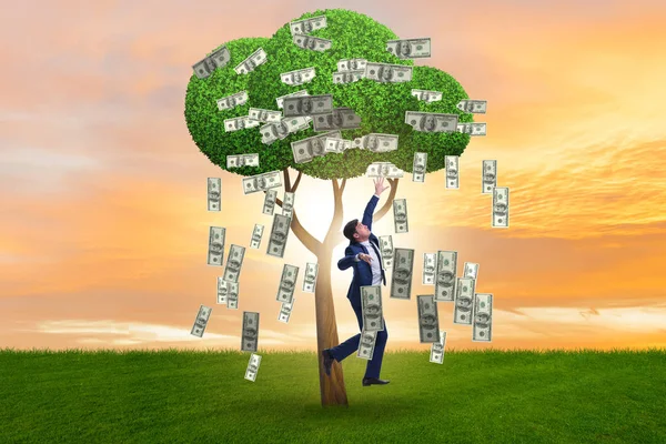 Uomo d'affari con albero dei soldi nel concetto di business — Foto Stock