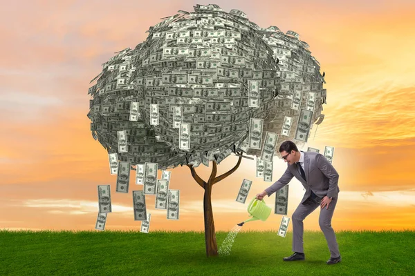 Empresario regando árbol de dinero en concepto de inversión — Foto de Stock