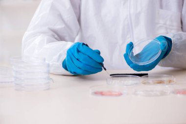 Laboratuvarda çalışan genç bir kimyager.