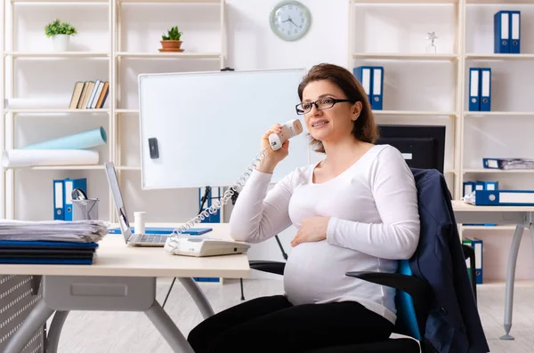 Old pregnant woman working in the office — Stock Photo, Image